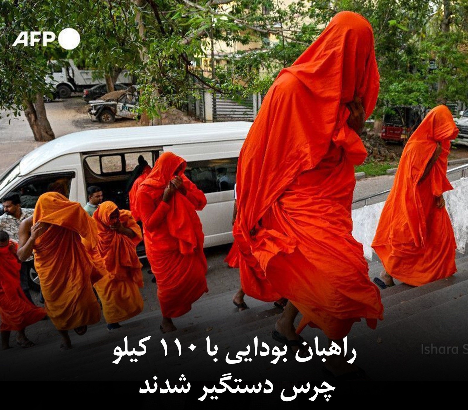 683603198 1407013484783389 5757400881166919069 n