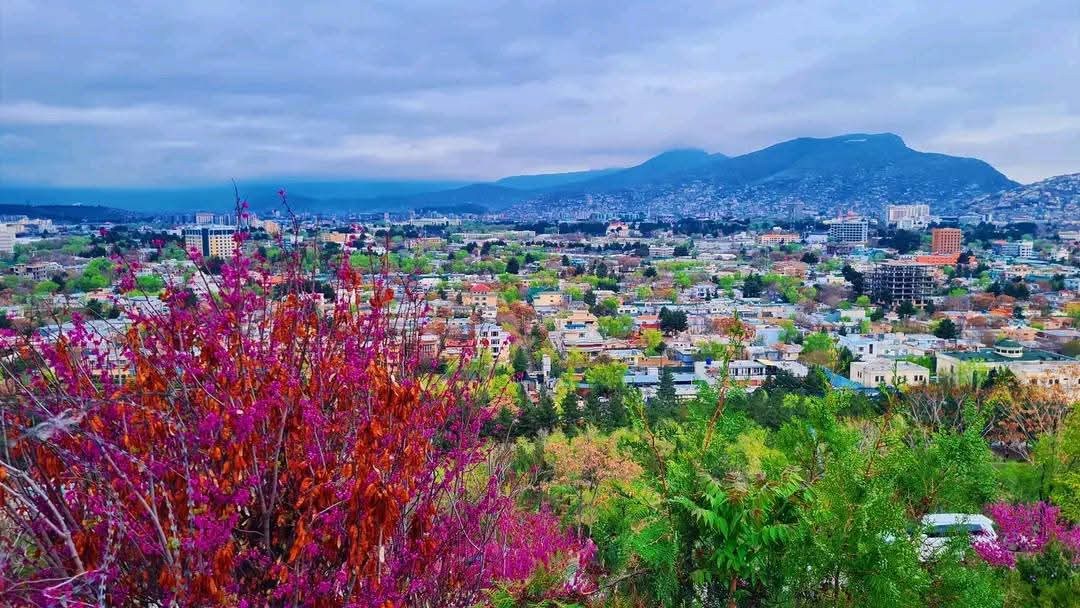 580908510 25163930419941697 2541066020963415616 n