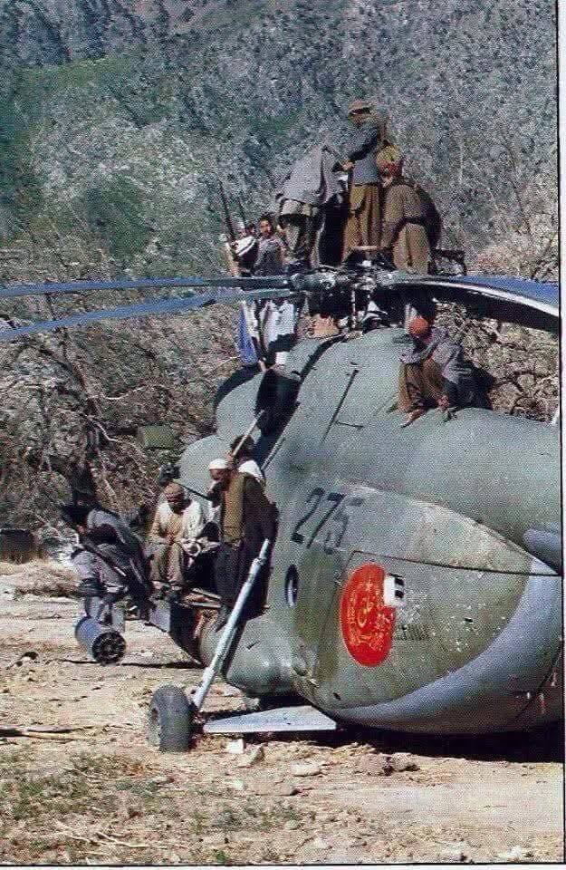 616535312 2023412434891852 7474616554357588469 n