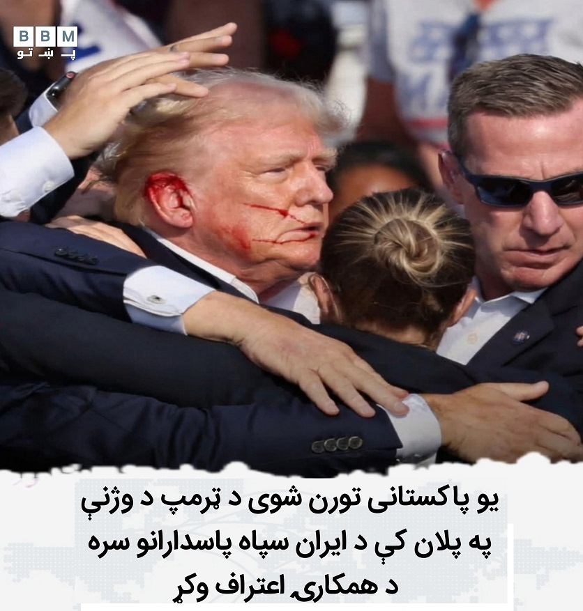 647704647 981266737914818 5166466787492058746 nA