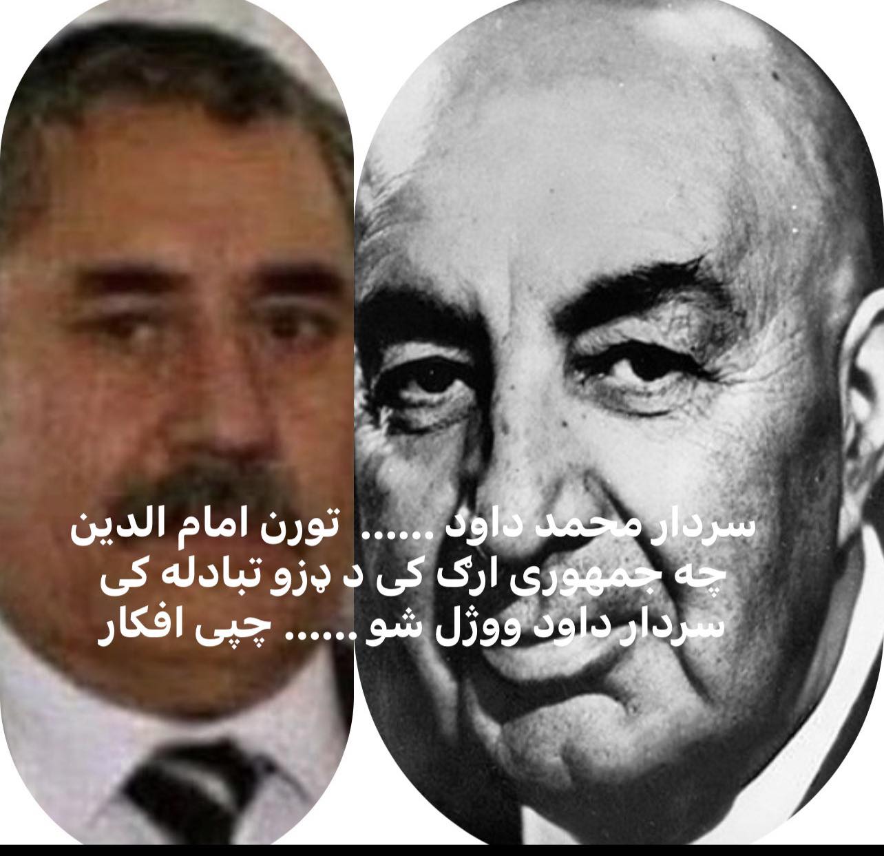 684434238 876911902096355 3528493032777010228 n