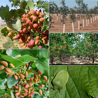 Screenshot 2025 11 22 163223