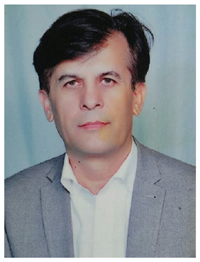 Dr. Abdul Saboor Stanekzai 200